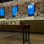 Store – gallery image 2