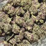 Store – gallery image 5