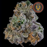 Store – gallery image 4