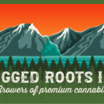 Store – gallery image 3