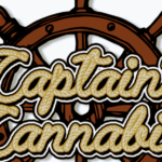 Store – gallery image 3