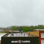 Store – gallery image 4