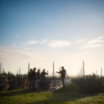 Store – gallery image 2