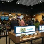 Store – gallery image 3