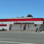 Store – gallery image 1