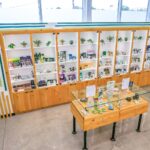 Store – gallery image 2