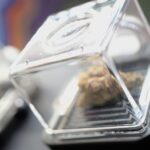 Store – gallery image 5