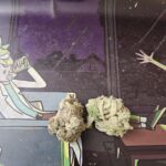 Store – gallery image 3