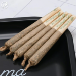 Store – gallery image 4