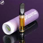 Store – gallery image 3