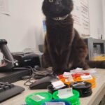 Store – gallery image 4