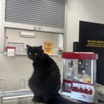 Store – gallery image 5