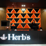 Store – gallery image 5