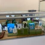 Store – gallery image 2