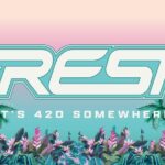 Store – gallery image 3