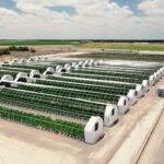 Store – gallery image 1