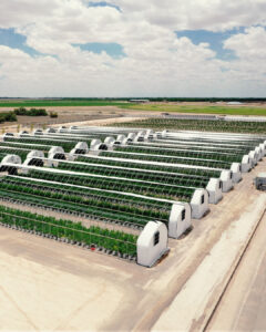 Pecos Valley Production – Dispensary & Wholesale — Albuquerque, NM