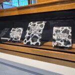 Store – gallery image 5