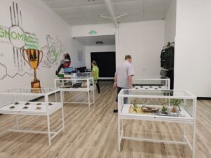 GNOMAD CANNA CO — Tatum, NM