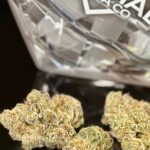 Store – gallery image 2