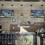 Store – gallery image 3