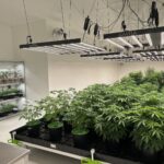 Store – gallery image 2