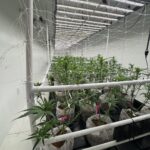 Store – gallery image 4