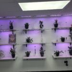 Store – gallery image 3