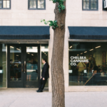 Store – gallery image 1