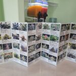 Store – gallery image 3