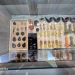 Store – gallery image 1