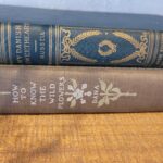 Store – gallery image 2