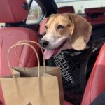 Store – gallery image 4