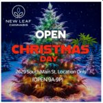 Store – gallery image 3