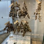 Store – gallery image 4