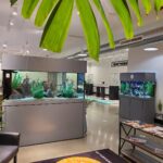 Store – gallery image 2