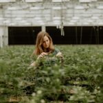 Store – gallery image 2