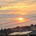 Store – gallery image 4