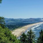 Store – gallery image 2