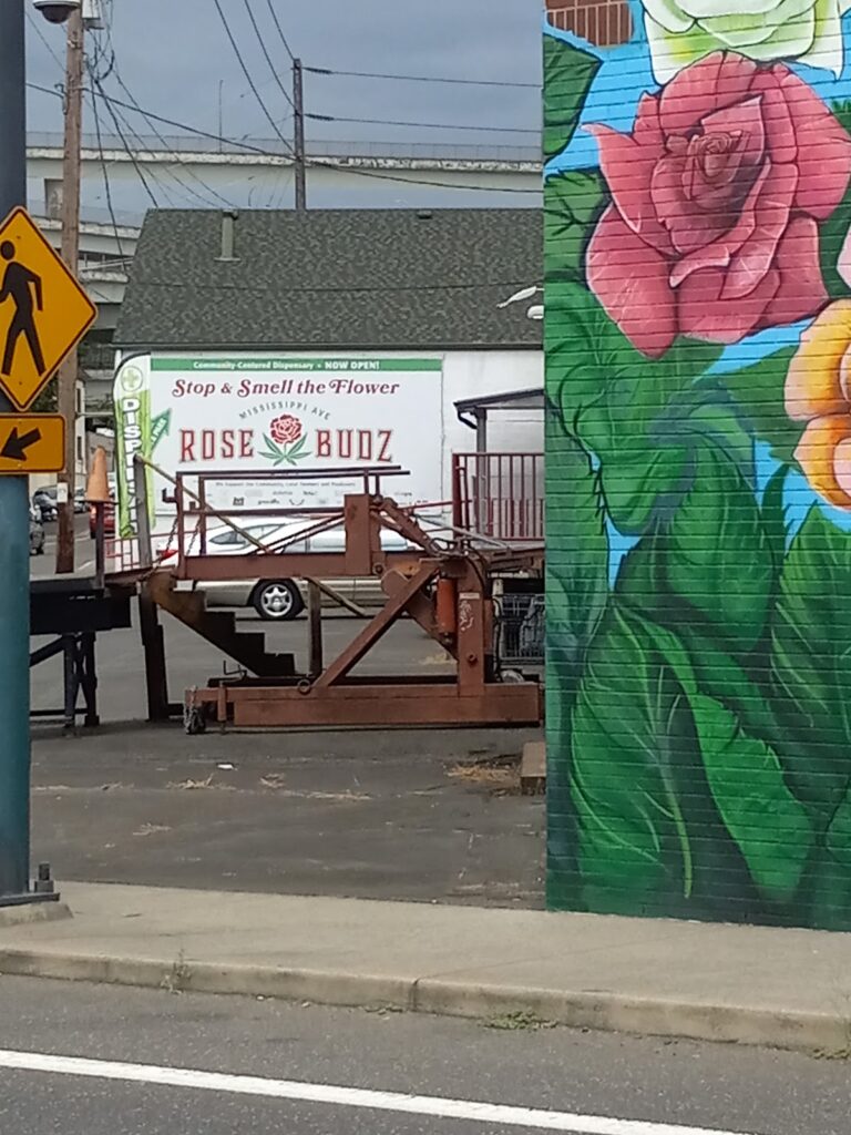 Store – main photo