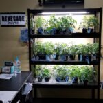 Store – gallery image 4