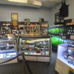 Store – gallery image 3