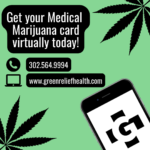 Store – gallery image 5