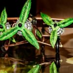 Store – gallery image 2