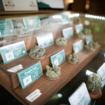 Store – gallery image 3