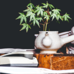 Store – gallery image 1