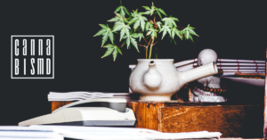 Cannabis MD (Medical Marijuana Doctor) — Manassas, VA