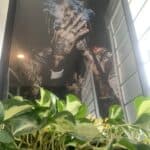 Store – gallery image 3