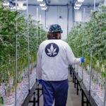 Store – gallery image 5