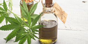 Kentucky Medical Cannabis Certificates – Lexington Medical Cannabis / Marijuana Certificates — Lexington, KY